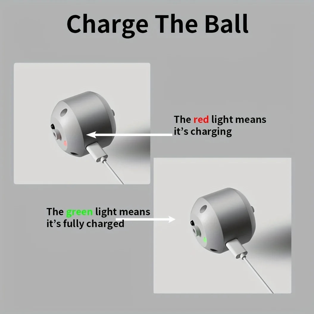 Quixotic's Smart Dog Toy Ball