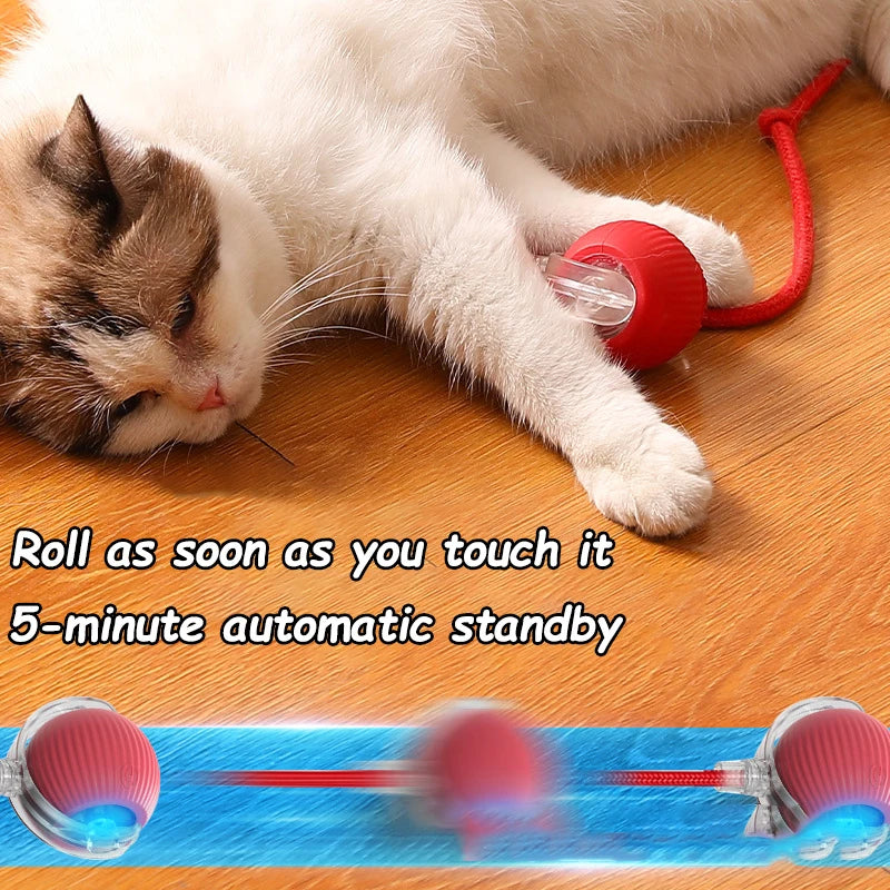 Quixotic Cat/Dog Automatic Chasing tail