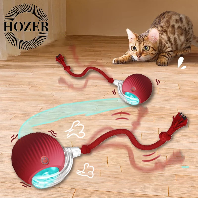 Quixotic Cat/Dog Automatic Chasing tail