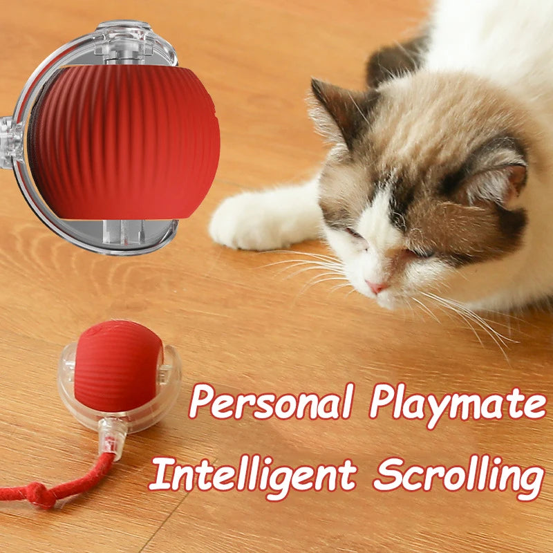 Quixotic Cat/Dog Automatic Chasing tail