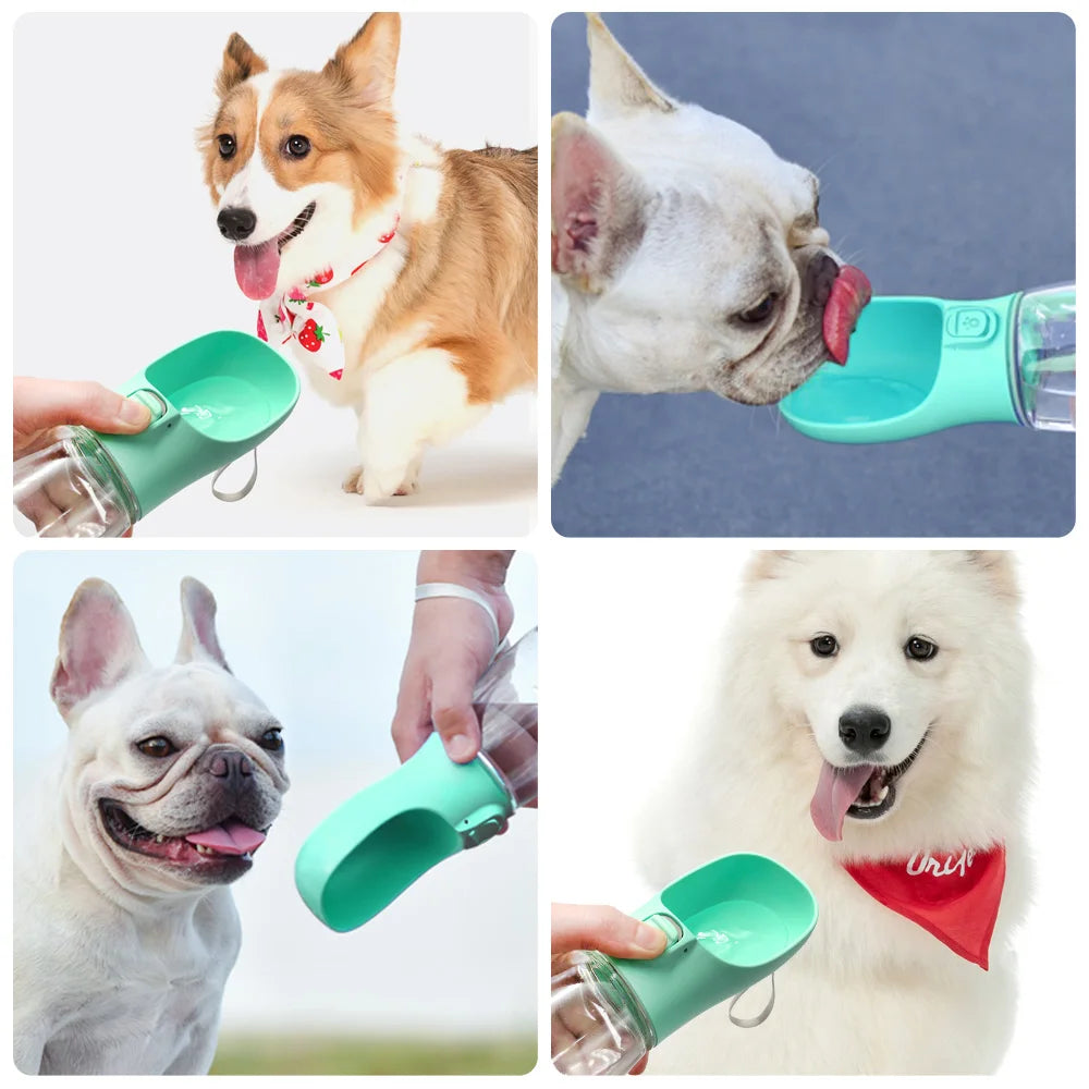 Quick Drink Dog Water Bowl